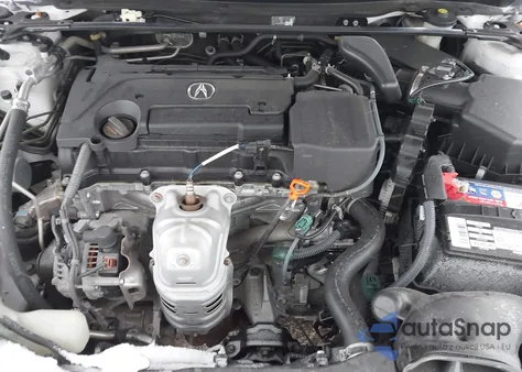 2020 Acura Tlx Standard из США, поврежденный, VIN 19UUB1F38LA014909